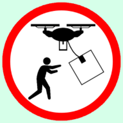 Sky Delivery Drone