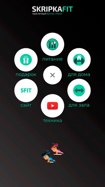 Skripkafit — Здоровье и фитнес, скриншот интерфейса 1