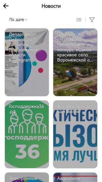 Активный электронный гражданин — Социальные, скриншот интерфейса 3