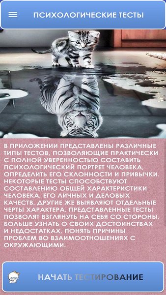 Психологические тесты. — Дополненная реальность, скриншот интерфейса 7