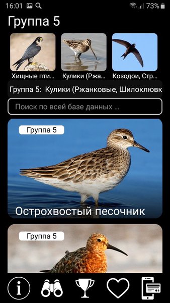 Птицы России PRO — Образование, скриншот интерфейса 5