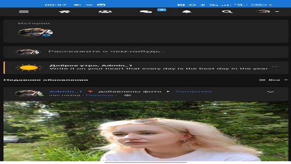 |Chat-RM| — Знакомства, скриншот интерфейса 4