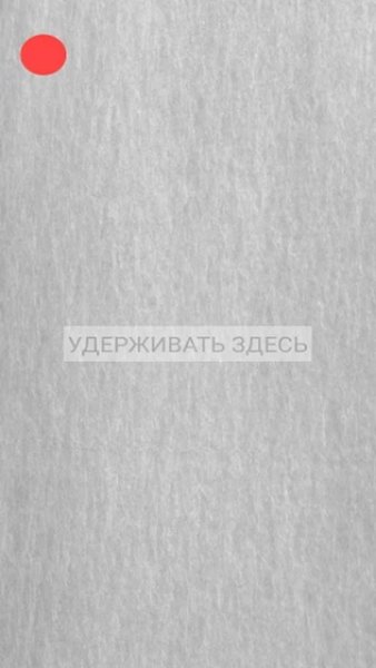 Займи кота — Симуляторы, скриншот интерфейса 2