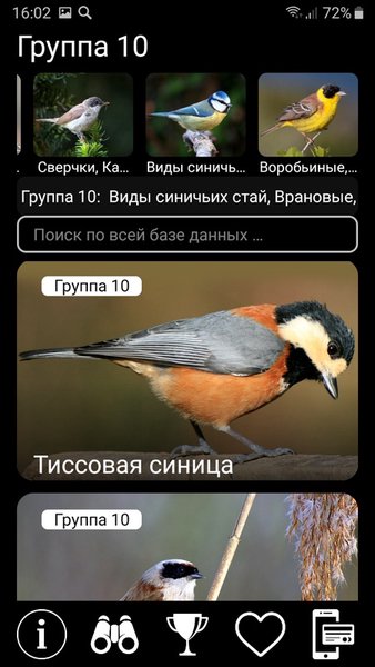 Птицы России PRO — Образование, скриншот интерфейса 6