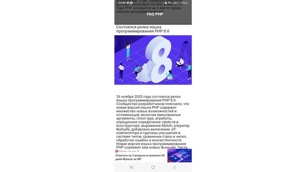 FAQ: PHP — Образование, скриншот интерфейса 2