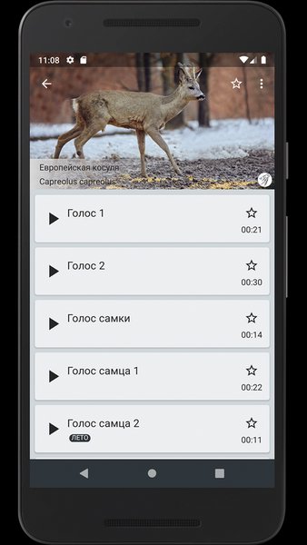 Манок на копытных животных — Развлечения, скриншот интерфейса 3