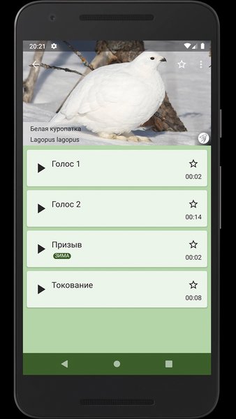 Манок на лесную и горную птицу — Развлечения, скриншот интерфейса 3