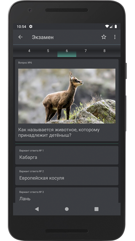 Следопыт — Образование, скриншот интерфейса 3