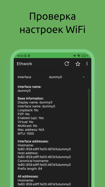 Ethwork: Netstat и Сеть — Инструменты, скриншот интерфейса 4
