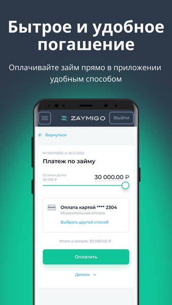 ZAYMIGO — Финансы, скриншот интерфейса 2