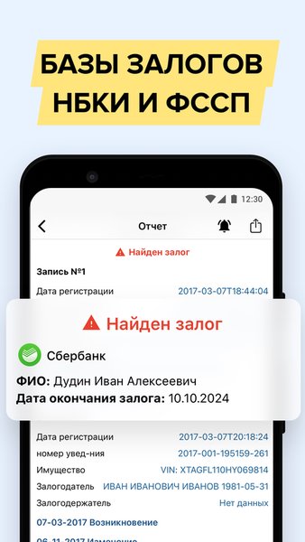 Проверка авто по базам ГИБДД — Автомобили и транспорт, скриншот интерфейса 3