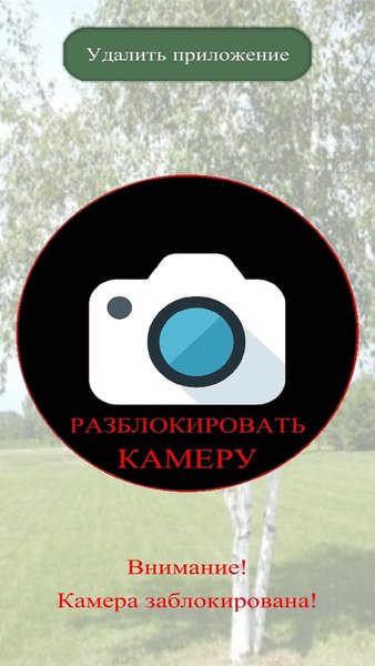 Берёзка - Блокировка камеры — Инструменты, скриншот интерфейса 2