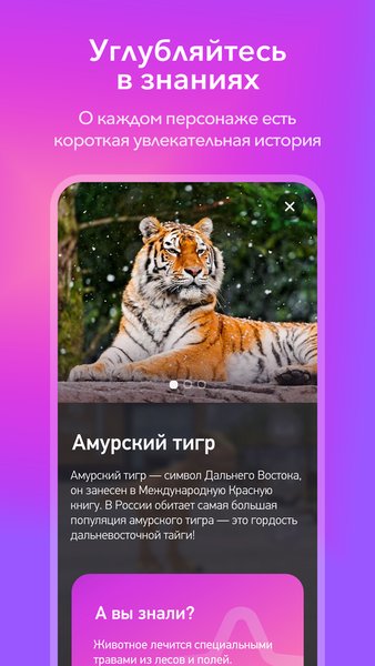 PlaySpace 3D — Дополненная реальность, скриншот интерфейса 4