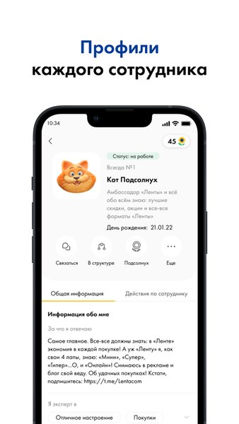 Лента Спутник — Бизнес, скриншот интерфейса 3