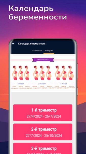 Календарь беременности — Книги и справочники, скриншот интерфейса 2