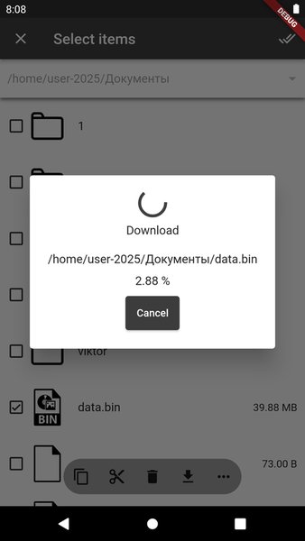 FTP Manager — Инструменты, скриншот интерфейса 5