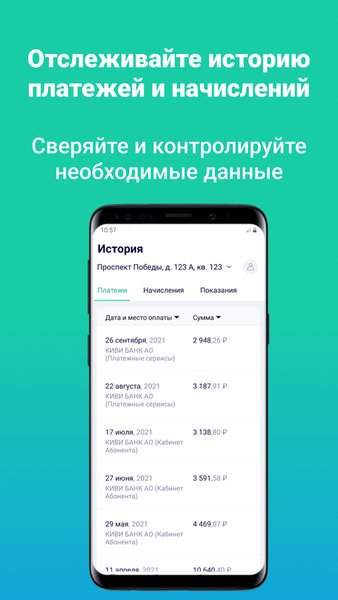 Кабинет Абонента — Жилье и дом, скриншот интерфейса 2