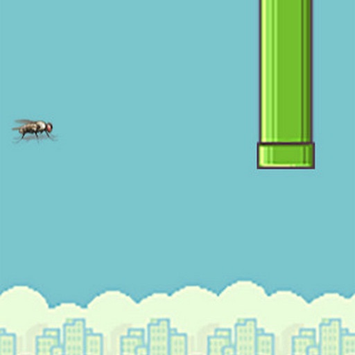 fly