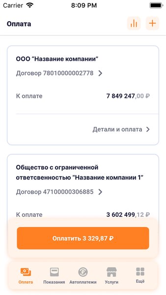 ЛКК ЮЛ Алтайэнергосбыт — Бизнес, скриншот интерфейса 1