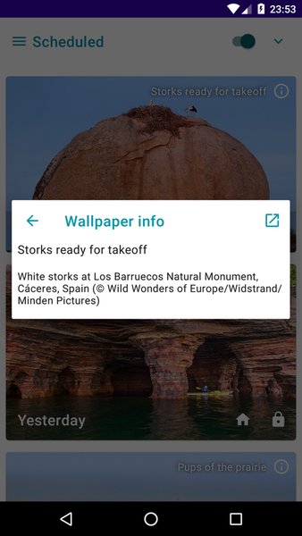 Daily Wallpapers - Auto Change Wallpaper — Персонализация, скриншот интерфейса 3