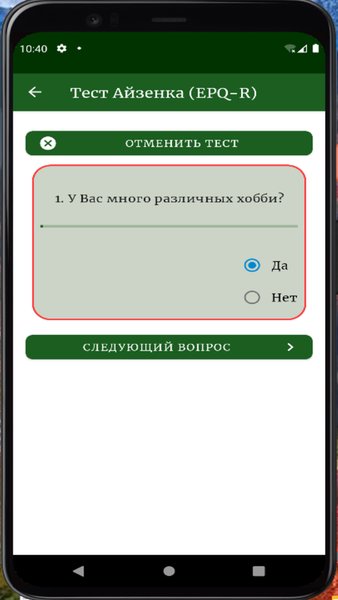 Опросник Айзенка (EPQ-R) — Медицина, скриншот интерфейса 5