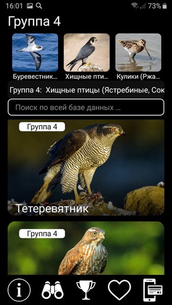 Птицы России PRO — Образование, скриншот интерфейса 4