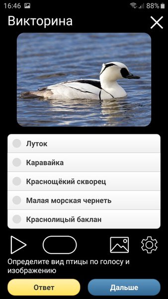 Птицы Европы PRO — Книги и справочники, скриншот интерфейса 7