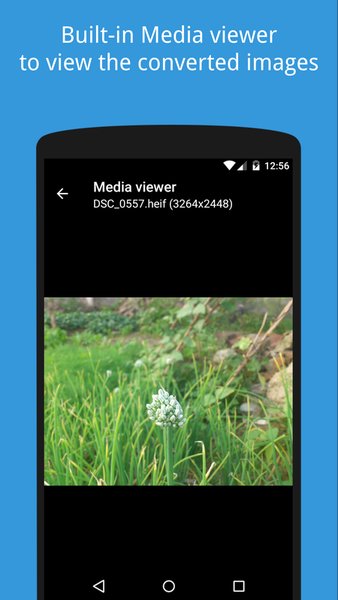 HEIC/HEIF/AVIF - JPG Converter — Фотография, скриншот интерфейса 6