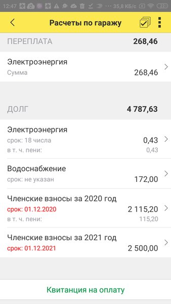 1С:Гаражи. Руководство ГСК — Финансы, скриншот интерфейса 4