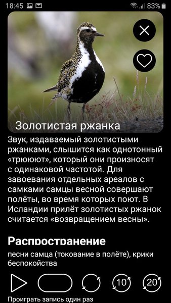 Птицы Европы PRO — Книги и справочники, скриншот интерфейса 3
