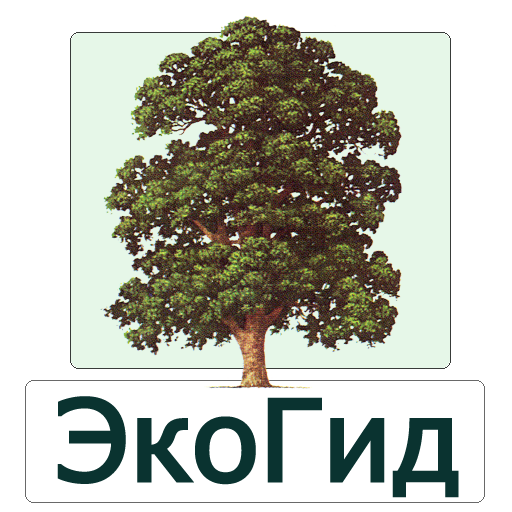 ЭкоГид: Деревья летом - Атлас и Определитель