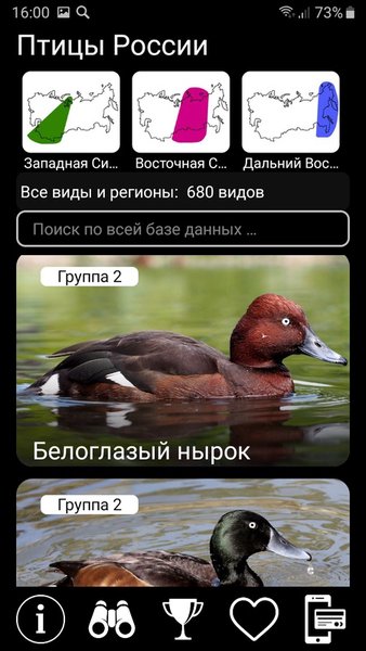 Птицы России PRO — Образование, скриншот интерфейса 3