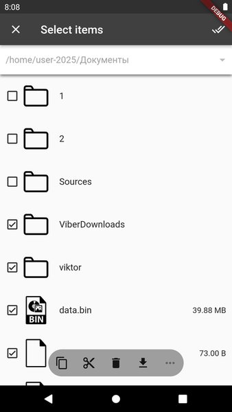 FTP Manager — Инструменты, скриншот интерфейса 4