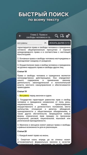 Конституция РФ — Книги и справочники, скриншот интерфейса 3