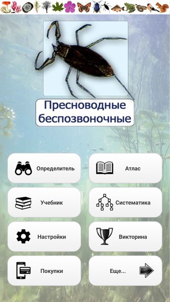 ЭкоГид: Пресноводные беспозвоночные - Определитель — Книги и справочники, скриншот интерфейса 1