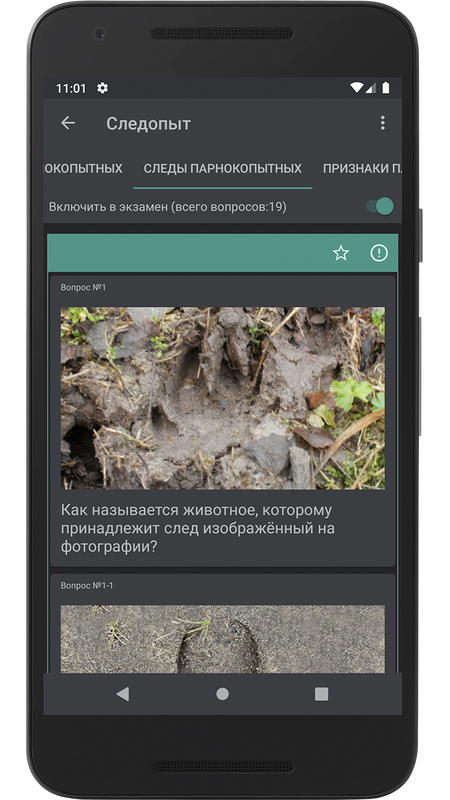 Следопыт — Образование, скриншот интерфейса 4