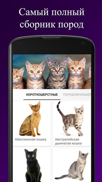 Породы кошек — Книги и справочники, скриншот интерфейса 1