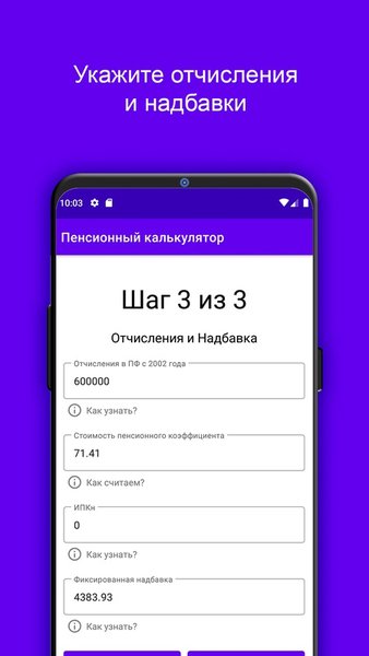 Пенсионный калькулятор РФ — Финансы, скриншот интерфейса 3