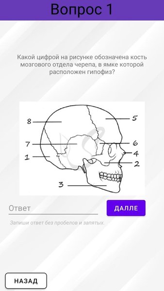 Anatom — Образование, скриншот интерфейса 4