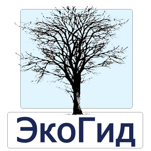 ЭкоГид: Деревья зимой - Атлас и Определитель