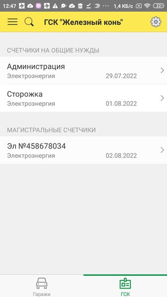 1С:Гаражи. Руководство ГСК — Финансы, скриншот интерфейса 2