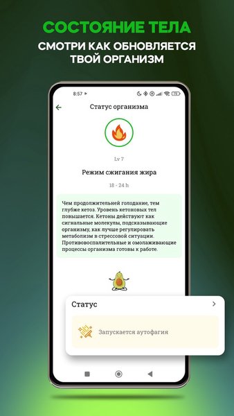 Avocado - интервальное голодание, учет воды, привычки — Здоровье и фитнес, скриншот интерфейса 8