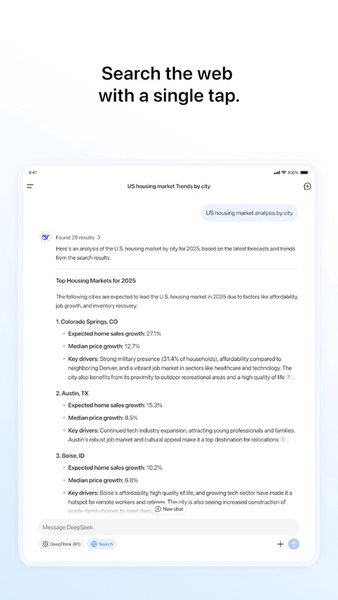 DeepSeek - AI Ассистент — Инструменты, скриншот интерфейса 6