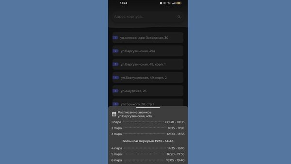 Расписание ЗабГУ — Образование, скриншот интерфейса 7
