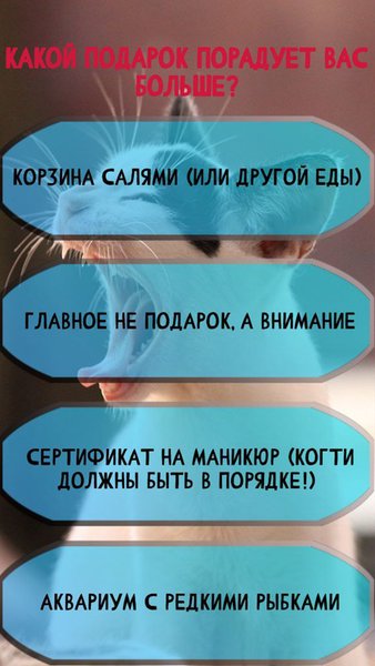 Тест: Какой ты котик? — Другие, скриншот интерфейса 3