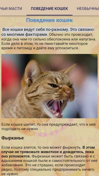 Коты  — Обучающие, скриншот интерфейса 4