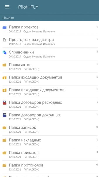 Pilot-FLY — Бизнес, скриншот интерфейса 1