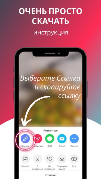 Скачать из Тик Ток видео и музыку. Загрузчик ТикТок — Инструменты, скриншот интерфейса 3