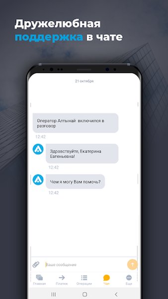 Локо Бизнес — Финансы, скриншот интерфейса 8