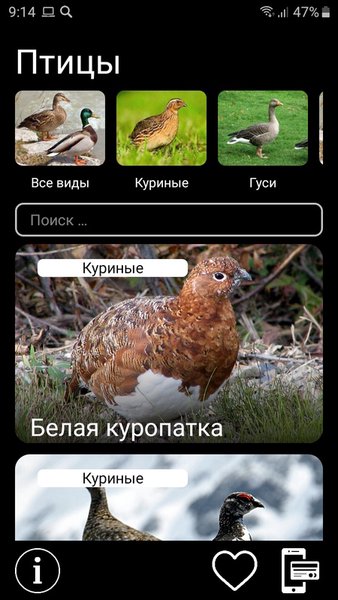 Манок на птиц: песни, позывки, голоса птиц — Книги и справочники, скриншот интерфейса 1